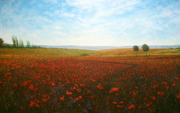 Field of dreams (Center)